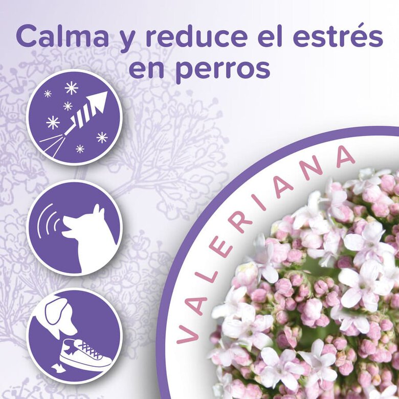 Beaphar Calming Collar Relajante para perros, , large image number null